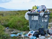 Plastikmüll: Ein großes Problem unserer Gesellschaft